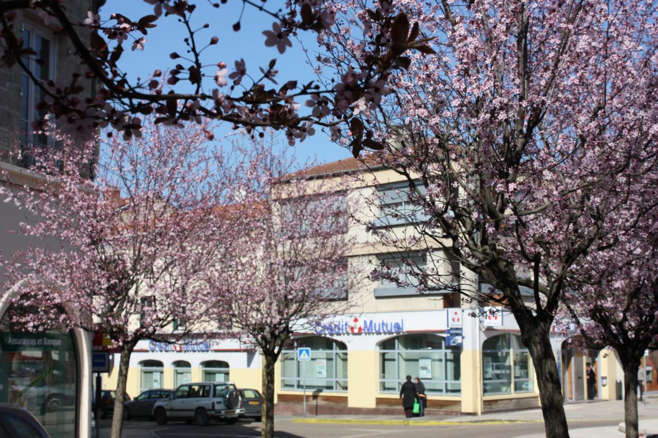 Centre de Feurs au printemps